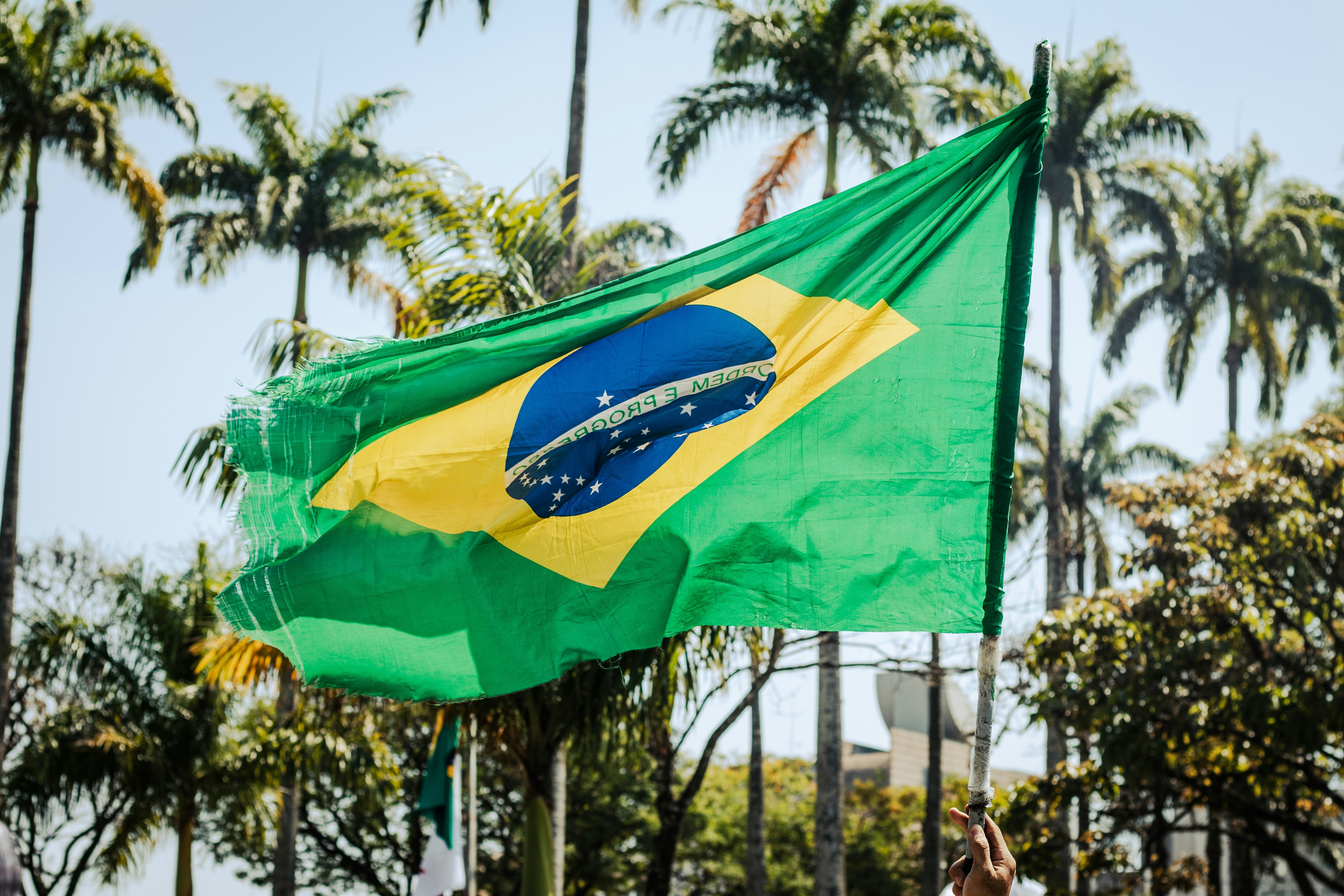 Vert Brésil Amazonia