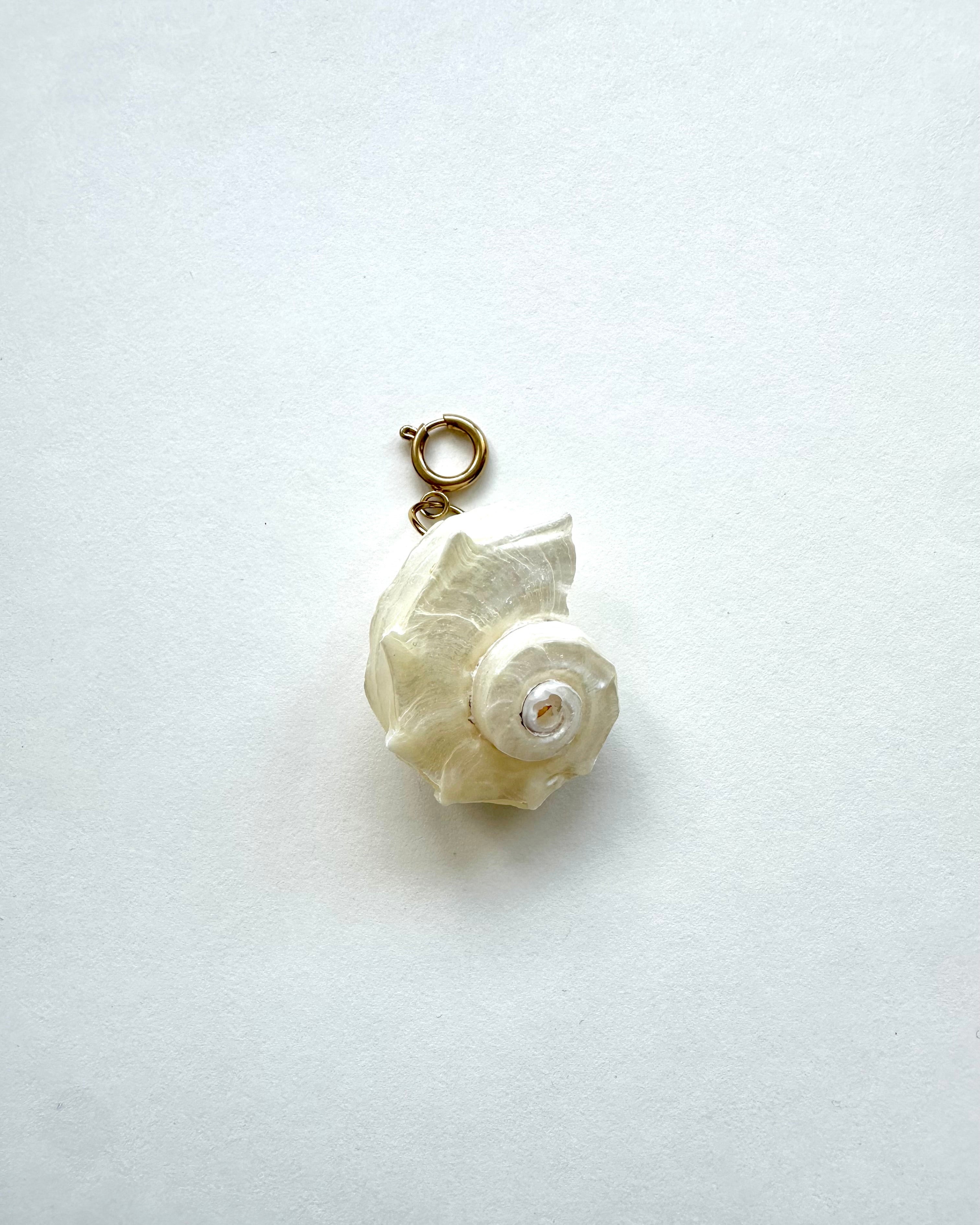 Pendentif Coquillage Nacré