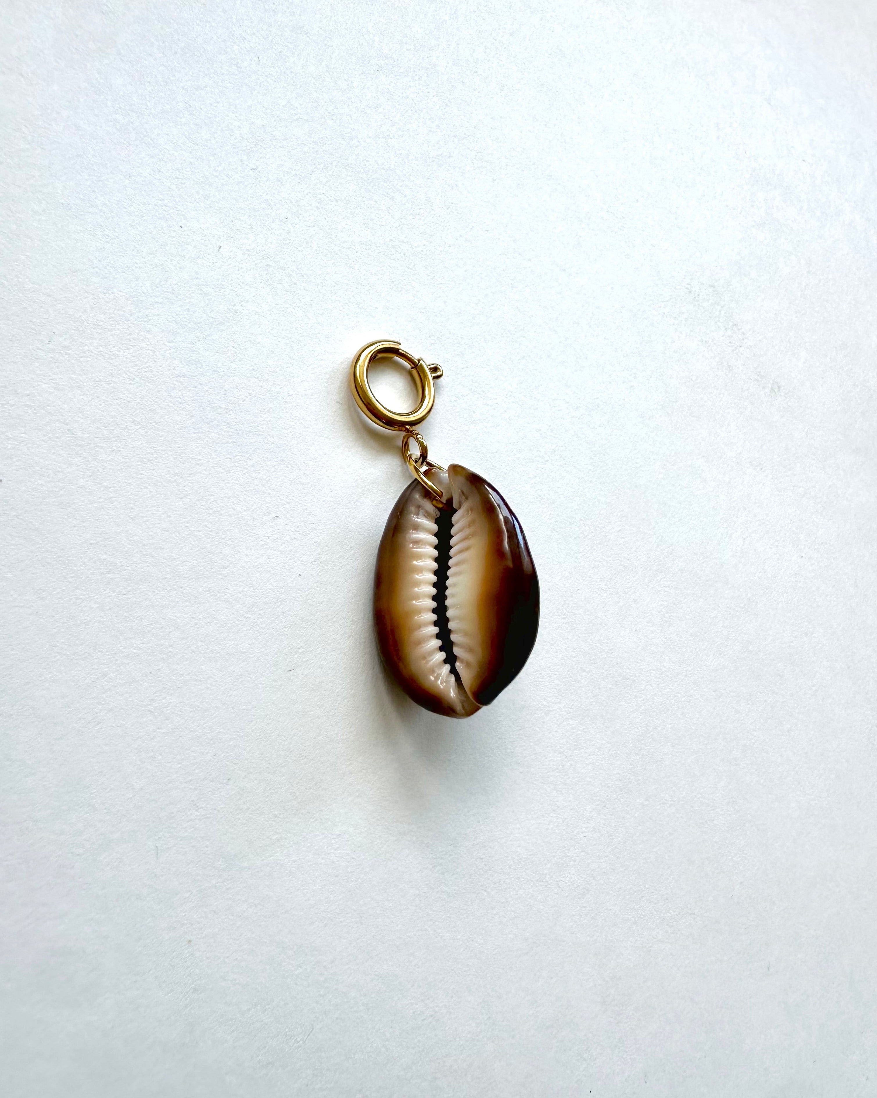 Pendentif Coquillage Marron