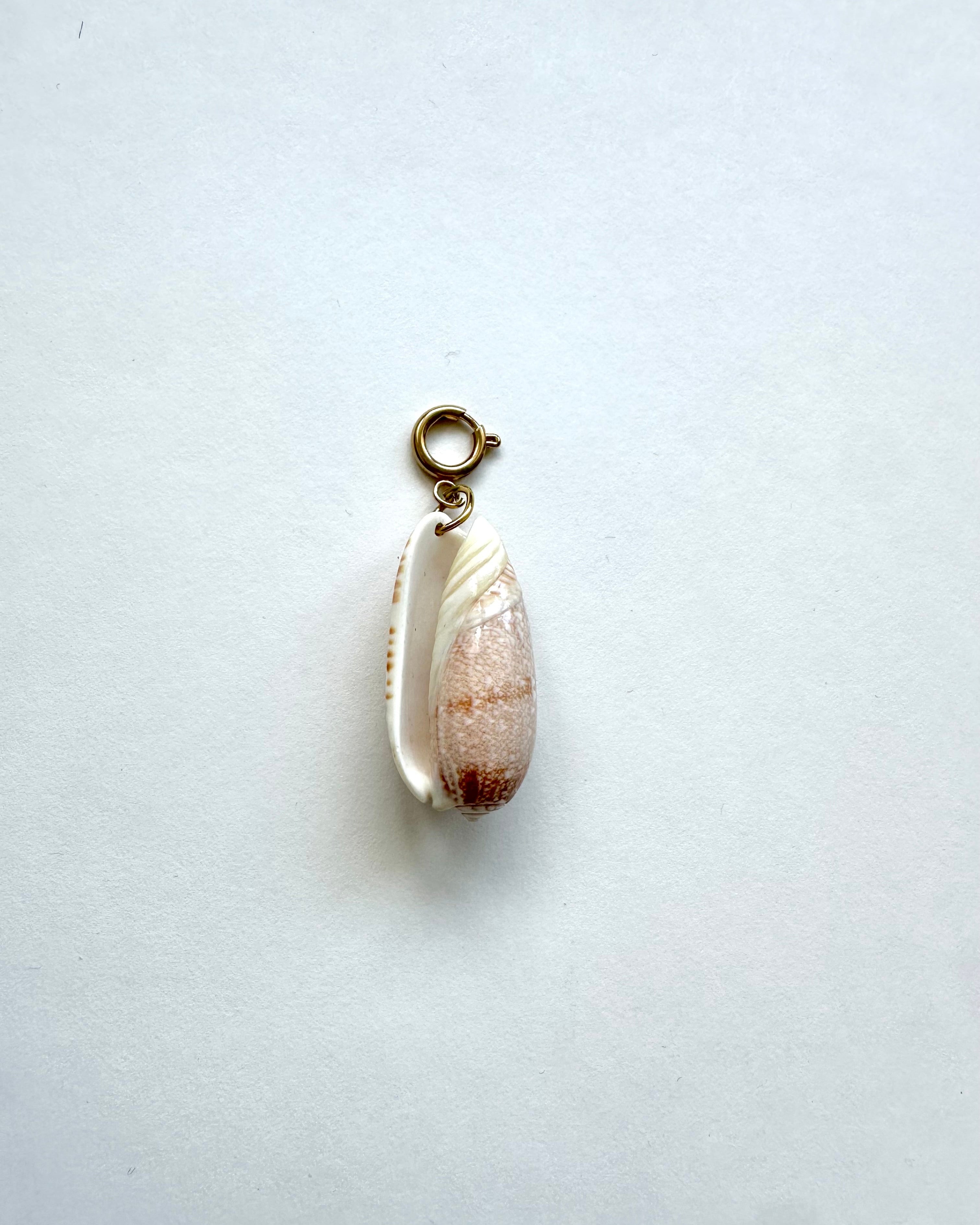 Pendentif Coquillage Corail